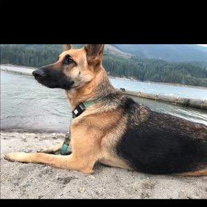 Meet your Posher, Amily